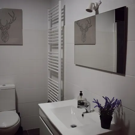 Casas Ti Flores