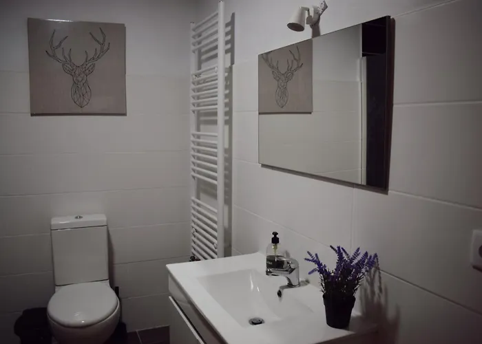Casas Ti Flores