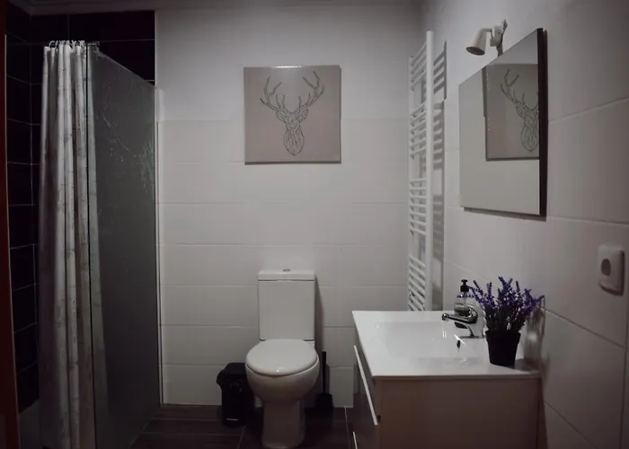 公寓式酒店 Casas Ti Flores *